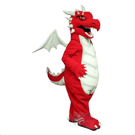 From Park to Stadium: The Versatility of Dragon Mascot Regalia